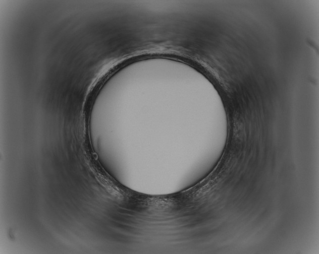 X0000097871270200803281153