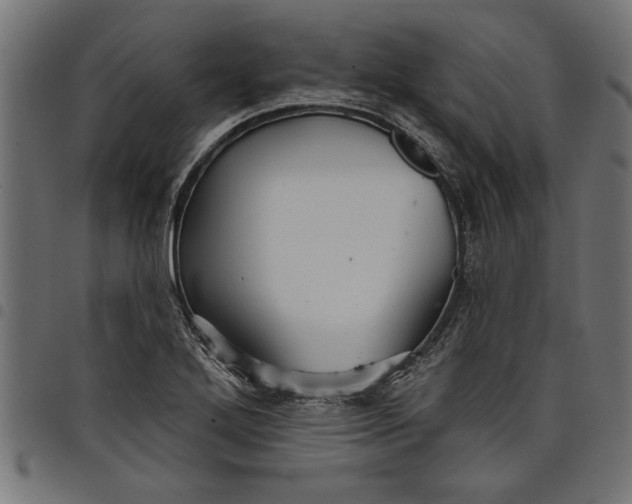 X0000097871272200803281153