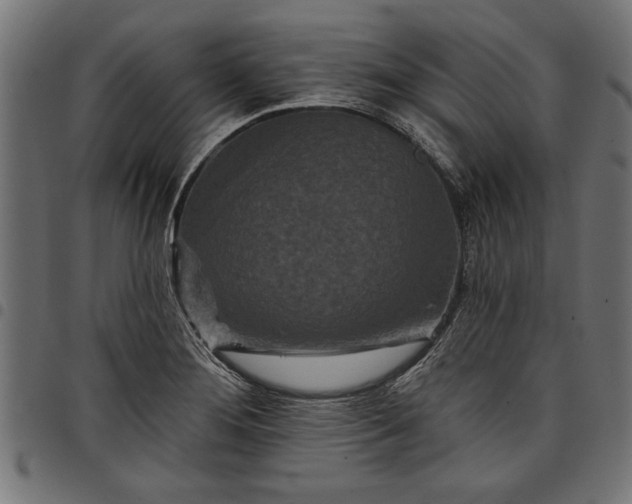 X0000097871276200803281153