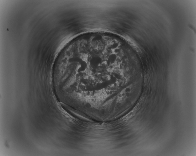 X0000097871279200803281153