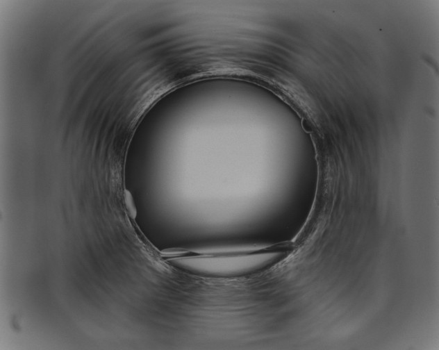 X0000097871281200803281153