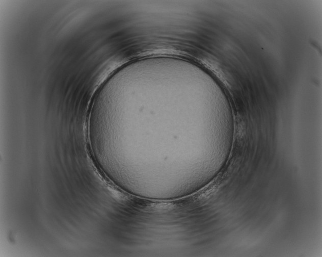 X0000097871282200803281153