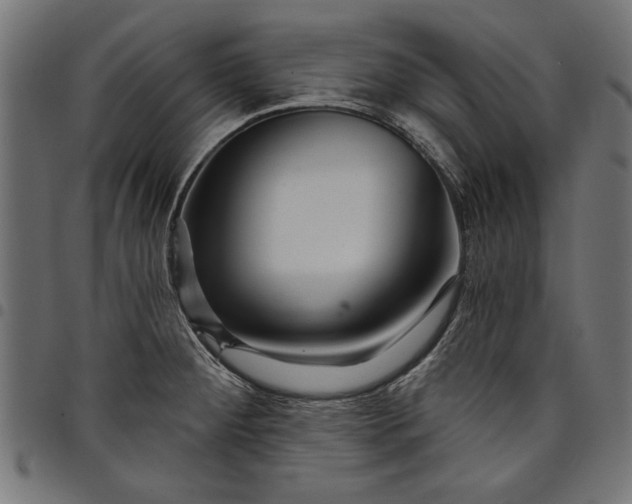 X0000097871284200803281153