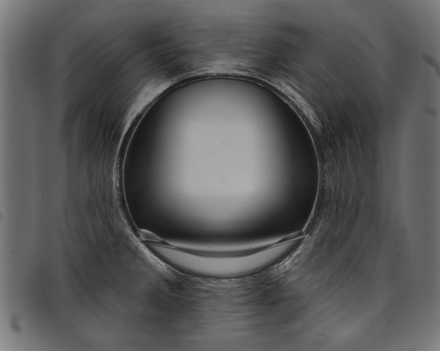 X0000097871285200803281153