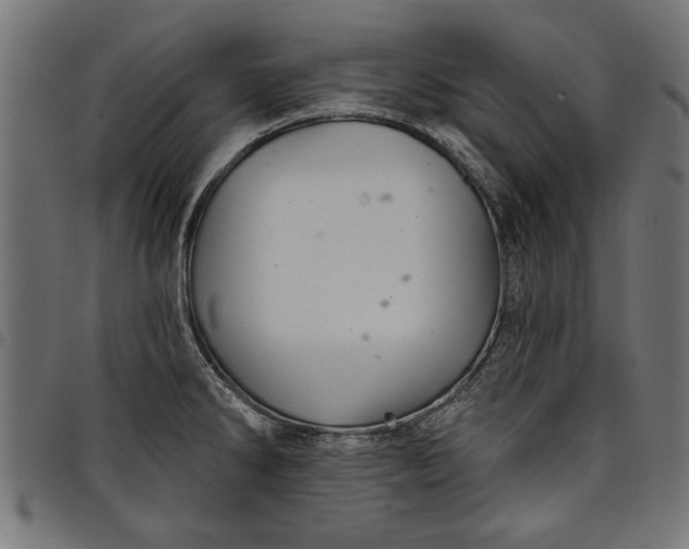 X0000097871286200803281153
