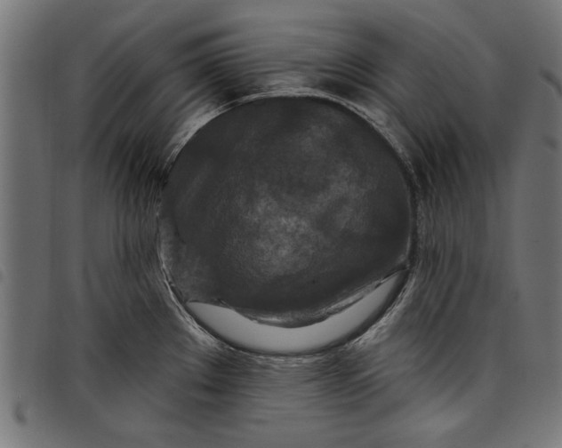X0000097871289200803281153