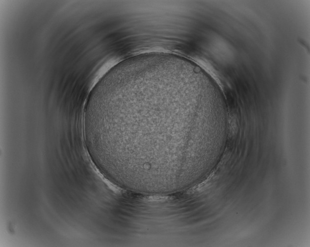 X0000097871290200803281153