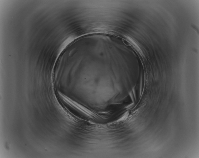 X0000097871291200803281153