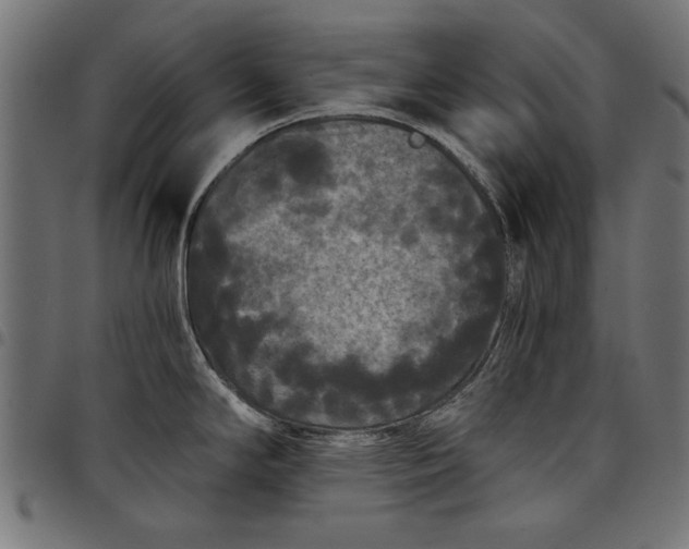 X0000097871294200803281153