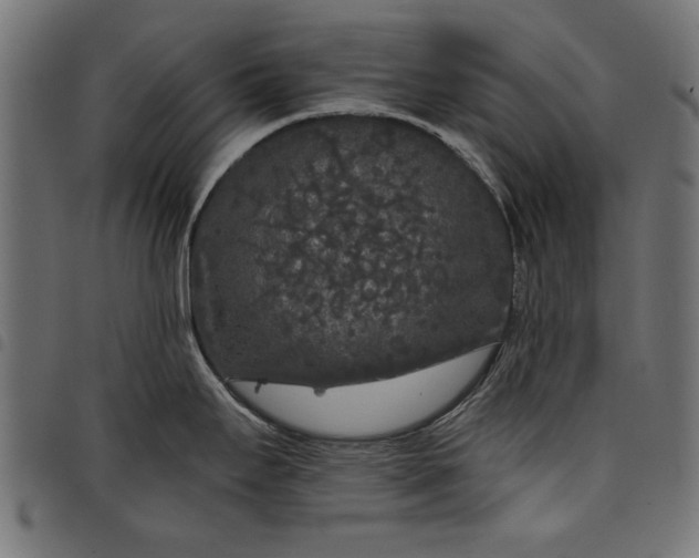 X0000097871295200803281153