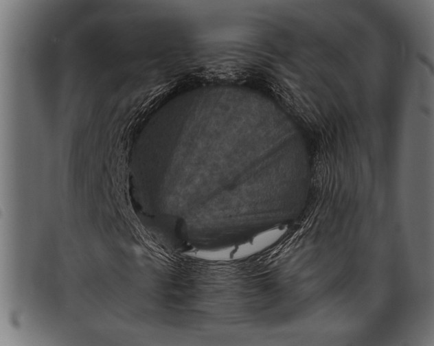 X0000097871297200803281152