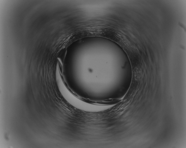 X0000097871298200803281152