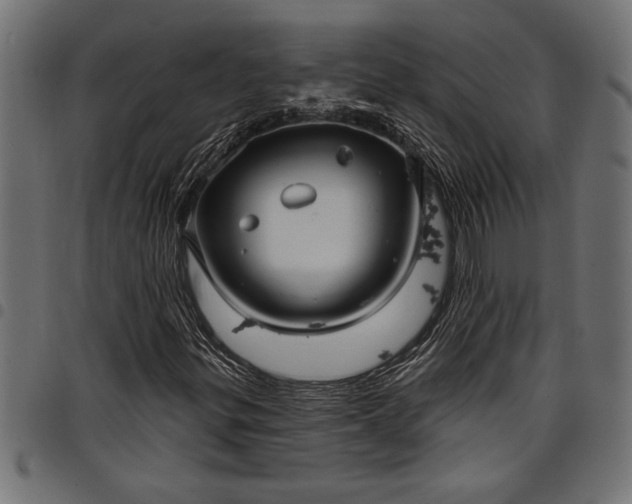 X0000097871299200803281152
