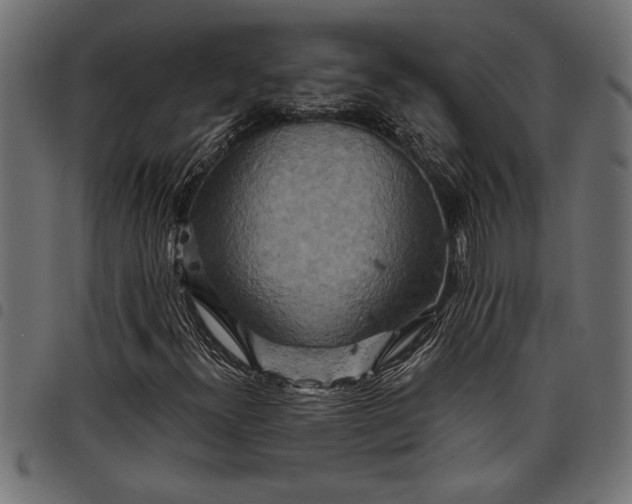 X0000097871300200803281152