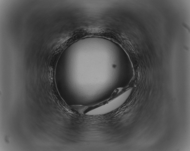 X0000097871301200803281152