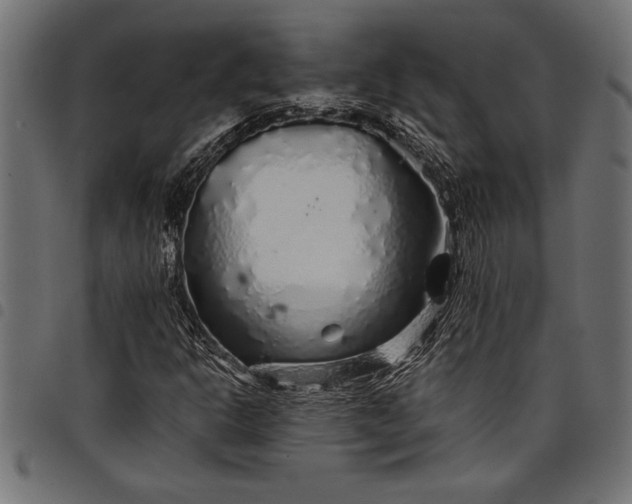 X0000097871302200803281152