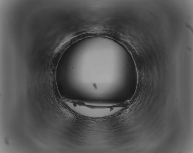 X0000097871304200803281152