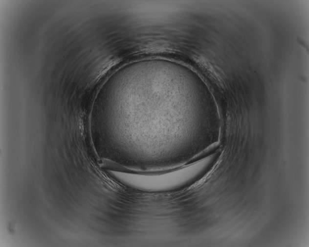 X0000097871305200803281152