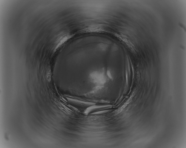 X0000097871306200803281152