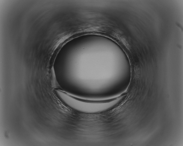 X0000097871308200803281152