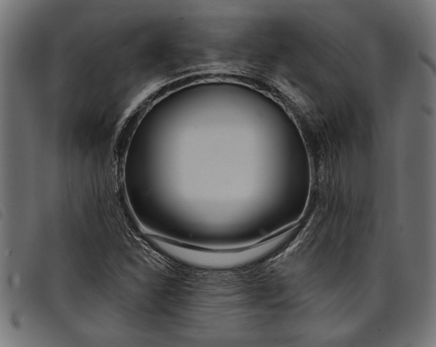 X0000097871310200803281152