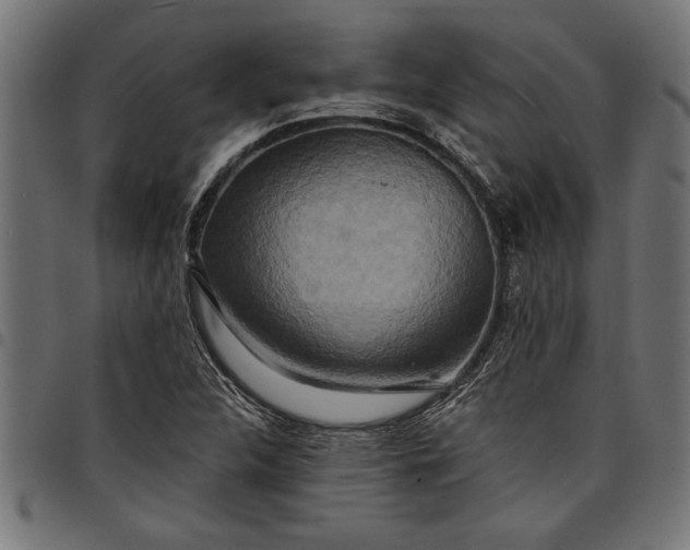 X0000097871312200803281152
