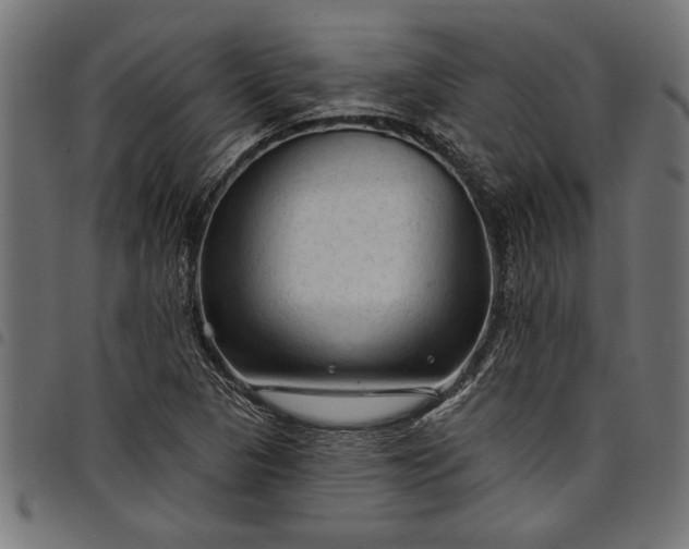 X0000097871313200803281152