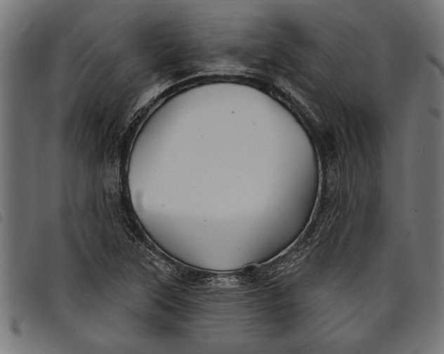 X0000097871315200803281152