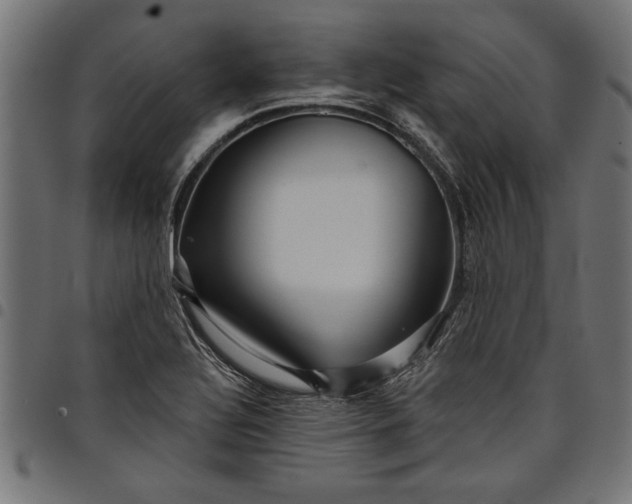 X0000097871320200803281152