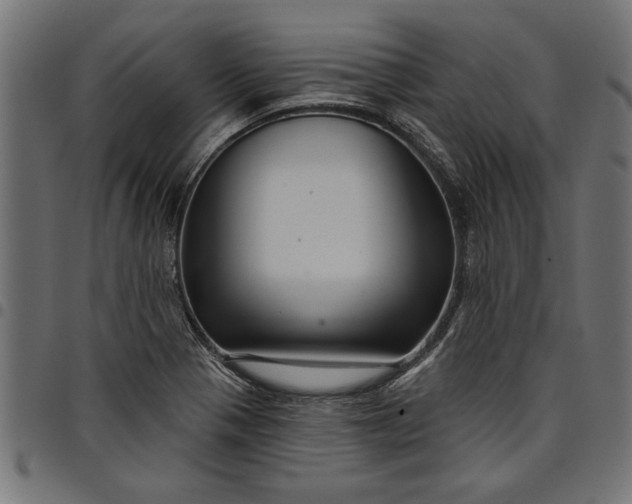 X0000097871321200803281152