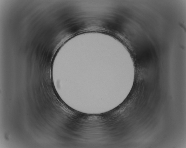 X0000097871322200803281152