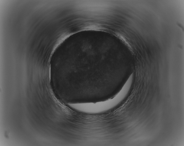X0000097871323200803281152