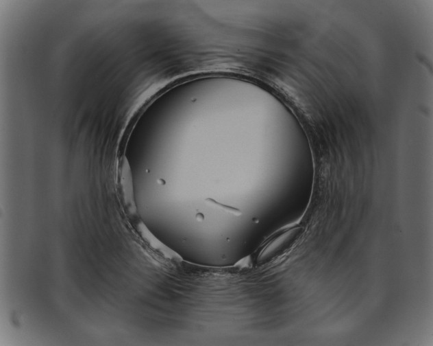 X0000097871324200803281152