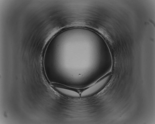 X0000097871325200803281152