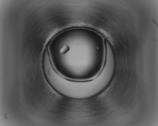 X0000097871326200803281152