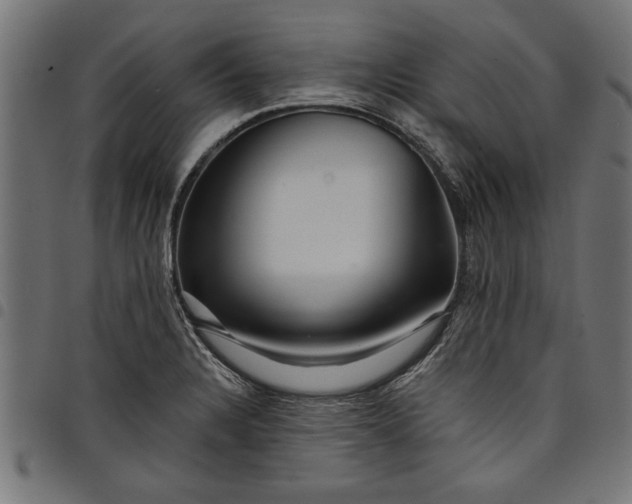 X0000097871328200803281153