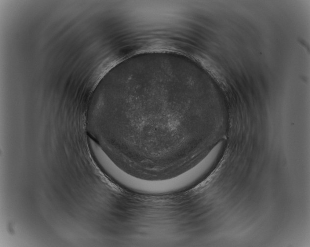 X0000097871329200803281153