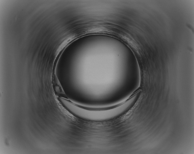 X0000097871330200803281153