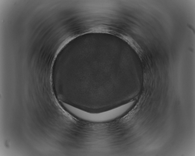 X0000097871331200803281153