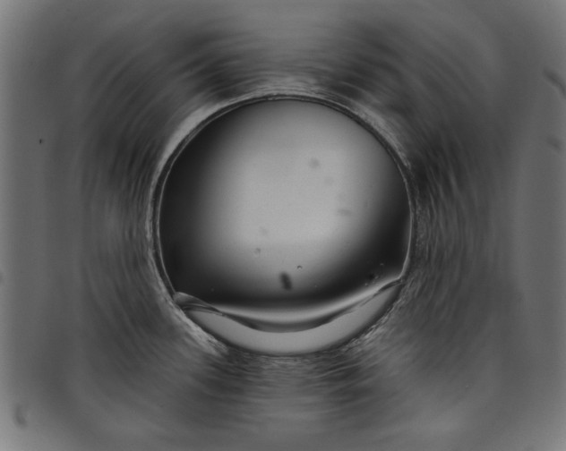 X0000097871339200803281153