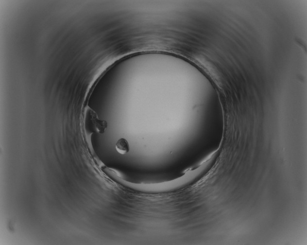 X0000097871340200803281153