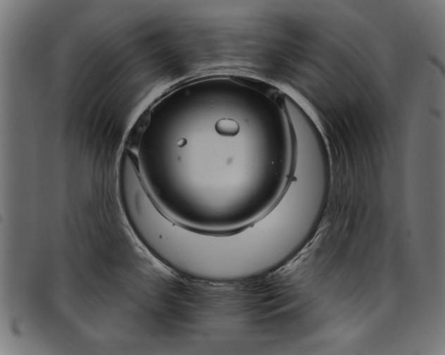 X0000097871341200803281153