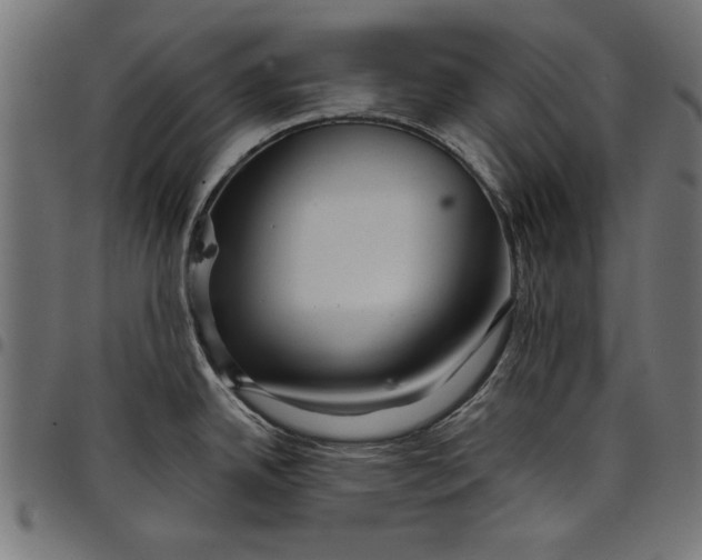 X0000097871342200803281153