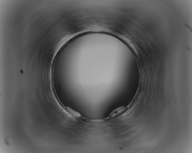 X0000097871343200803281153