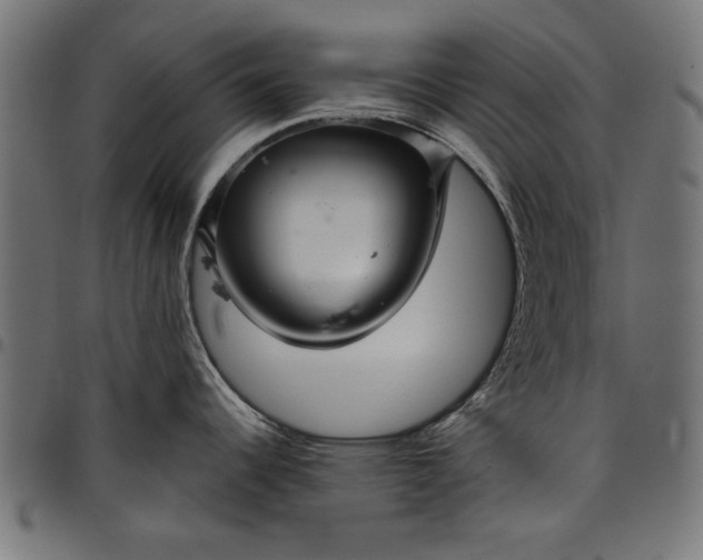 X0000097871344200803281153