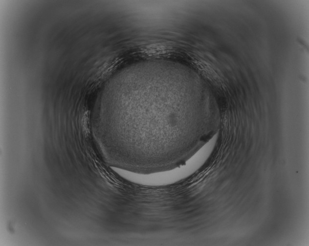 X0000097871346200803281152