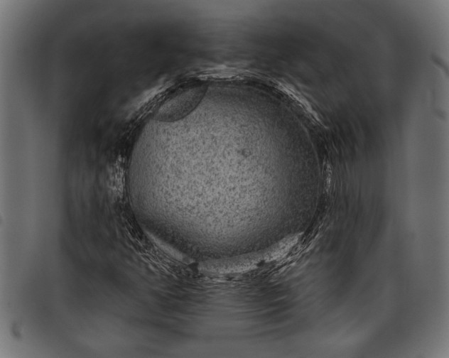 X0000097871350200803281152