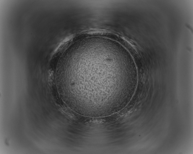 X0000097871351200803281152