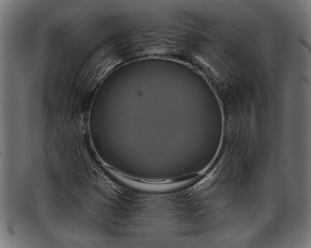X0000097871353200803281152