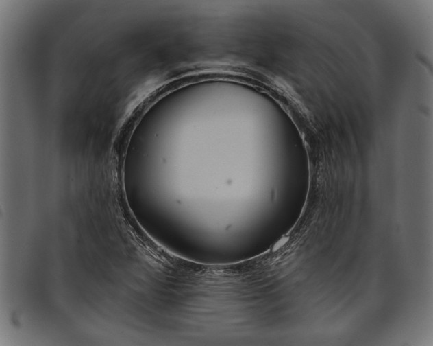 X0000097871360200803281152